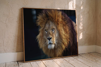 Tiere
