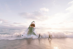 canvas-print-beware-shark