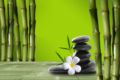 poster-print-bamboo