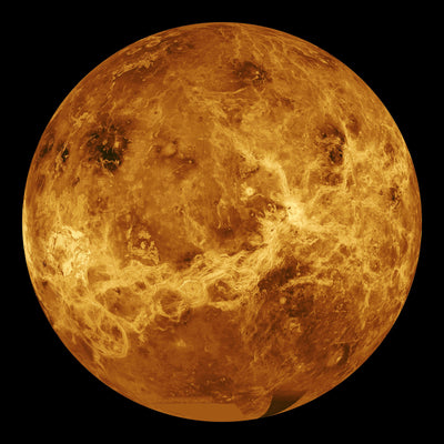 poster-print-the-venus