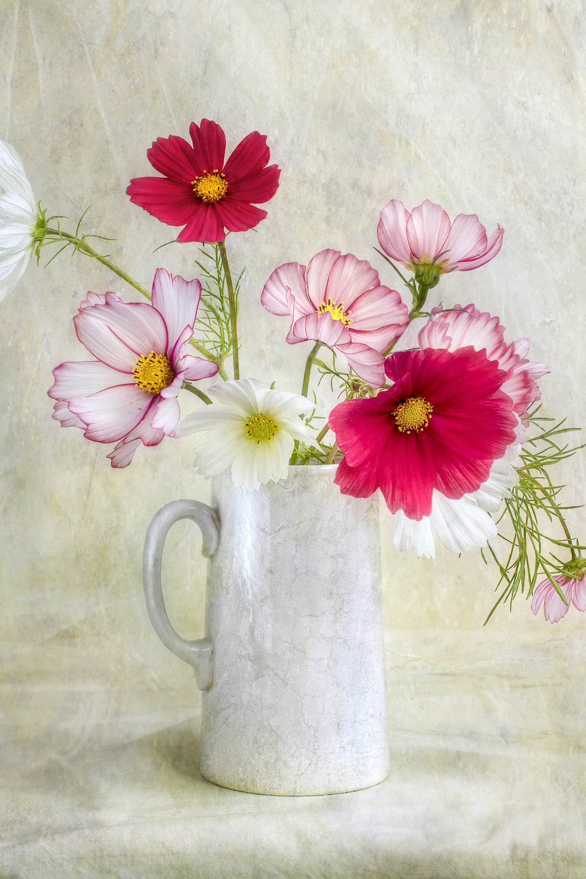 poster-print-cosmos-carnival