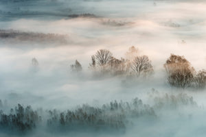 framedposter-print-winter-fog