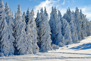 3-piece-acrylic-print-beautiful-winter-landscape