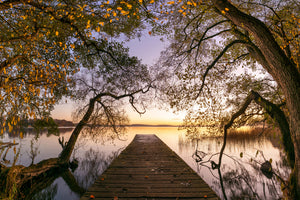 aluminium-print-autumn-xkt