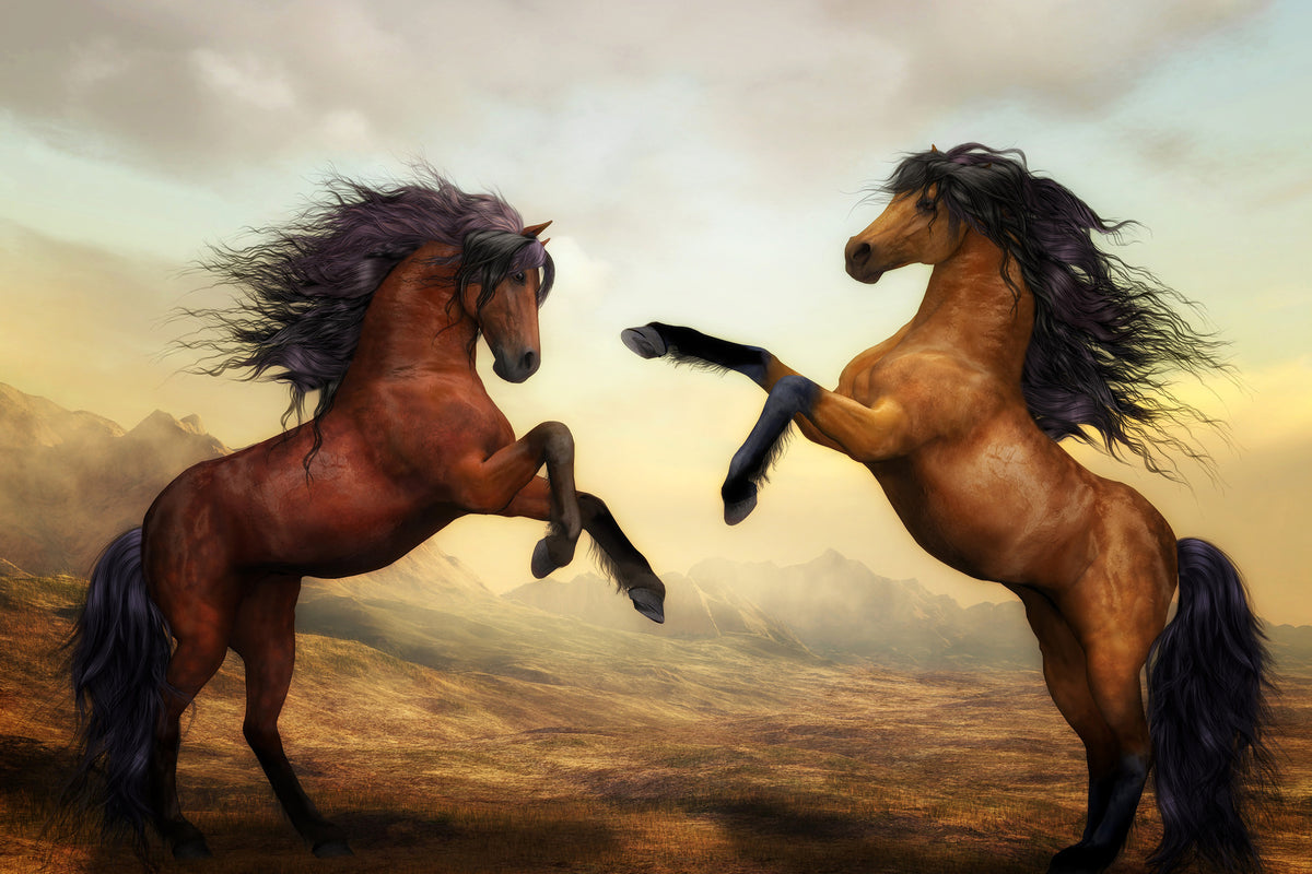 framedcanvas-print-two-wild-horses