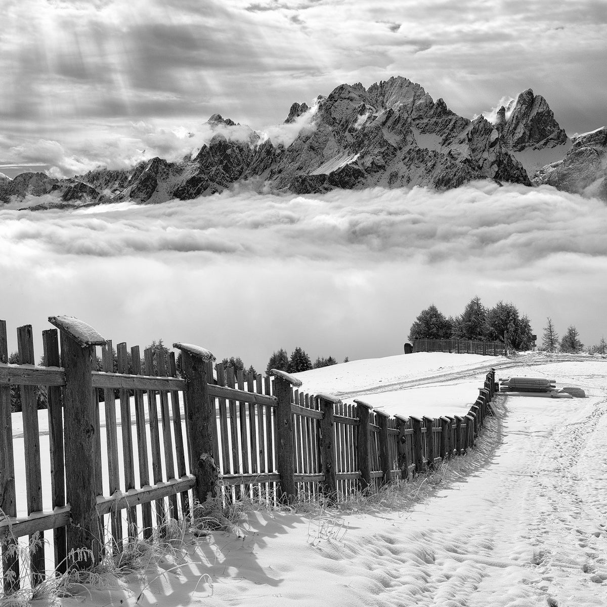 4-piece-aluminium-print-elements