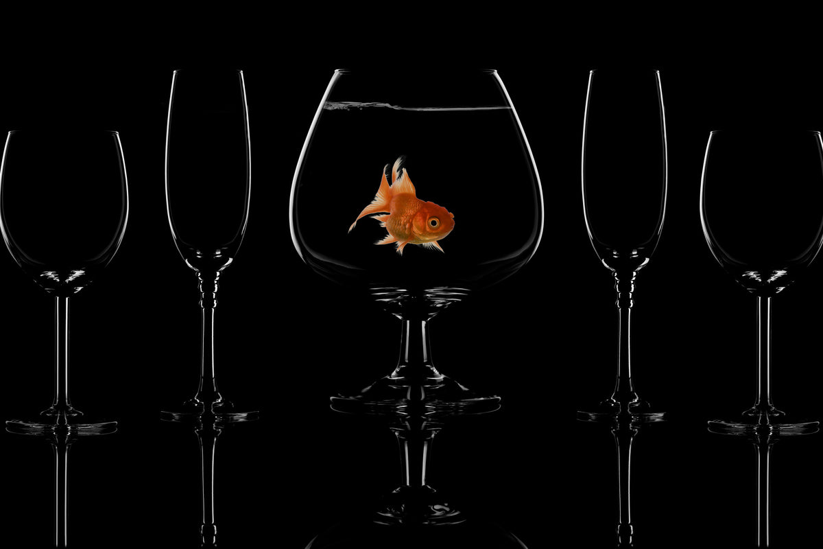 canvas-print-glass-fish