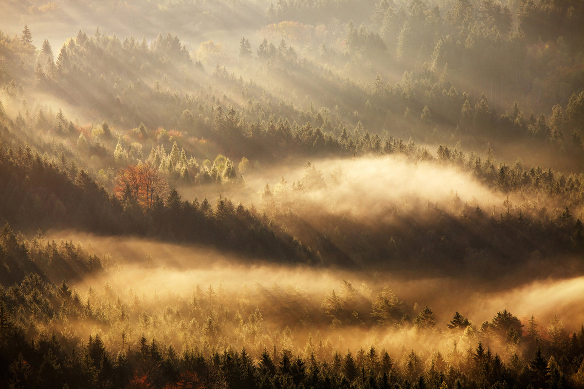 framedposter-print-autumn-rays-x