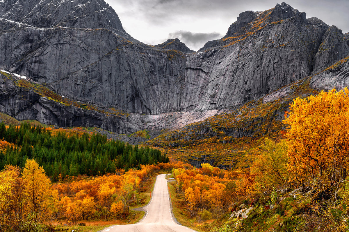 poster-print-road-to-the-wall-x