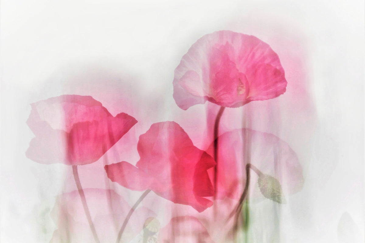 3-piece-acrylic-print-flowers