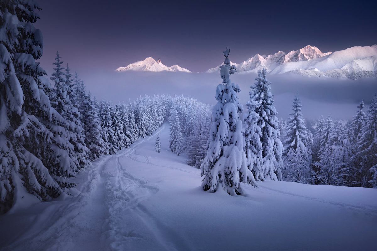 canvas-print-in-the-winter-x