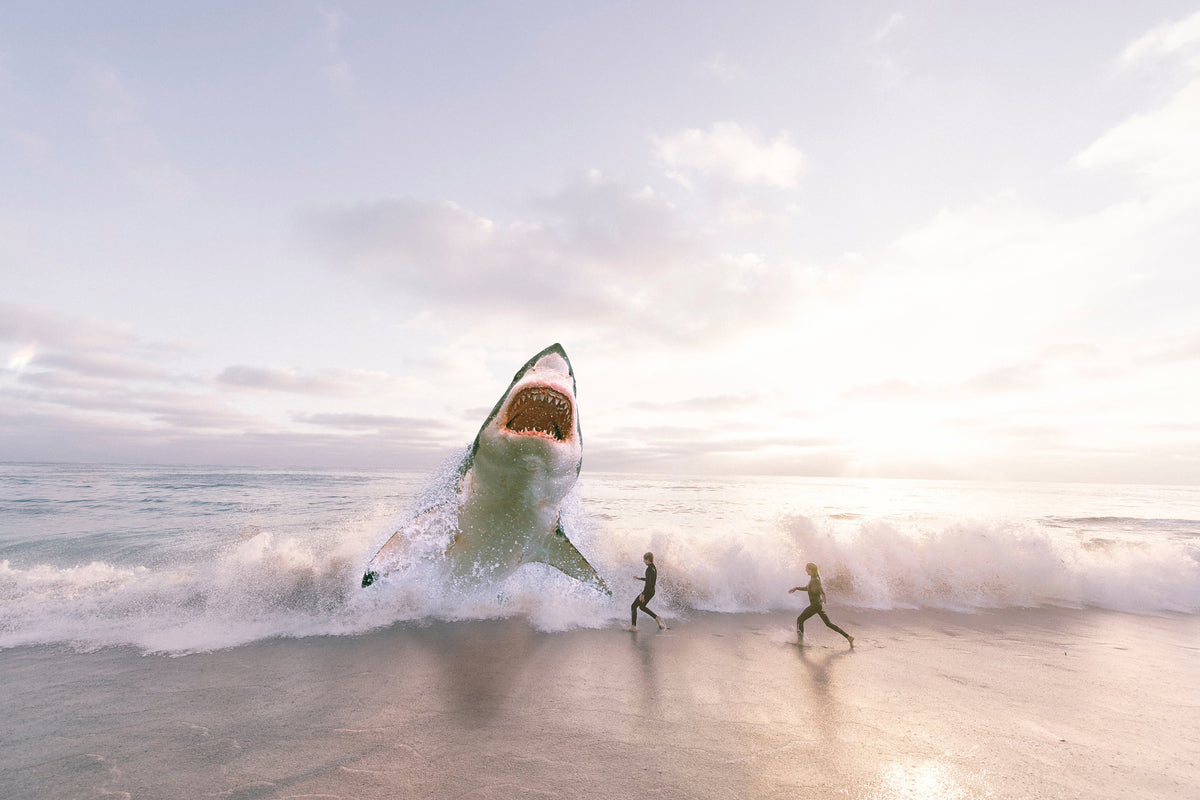 acrylic-print-beware-shark