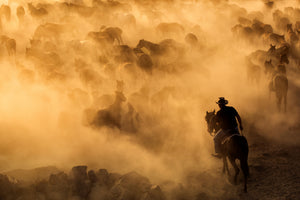 framedcanvas-print-cappadocia-wild-horses-x