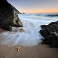 aluminium-print-summer-flux
