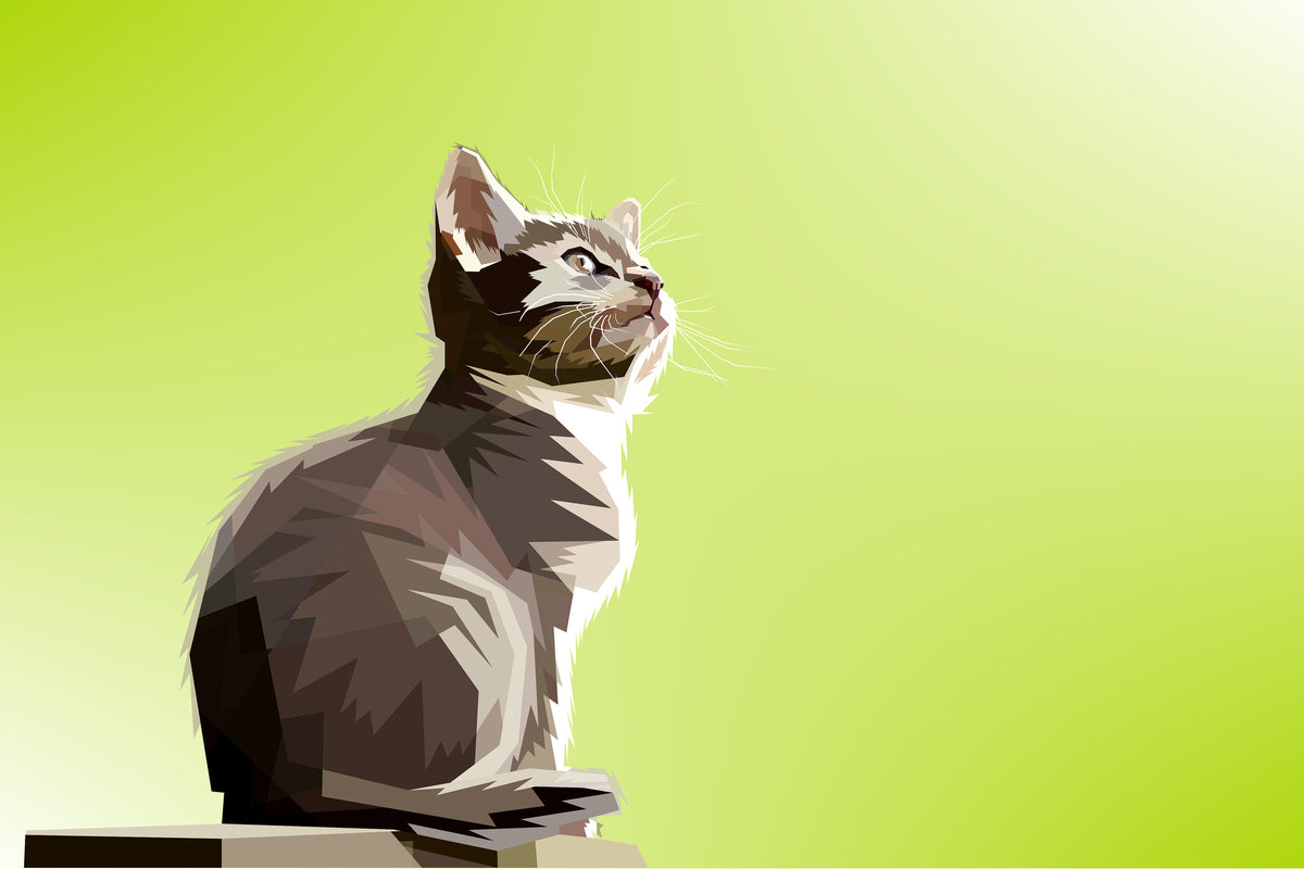 canvas-print-pop-art-cat-xl