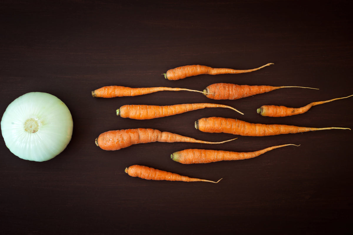 aluminium-print-vegetable-reproduction-x