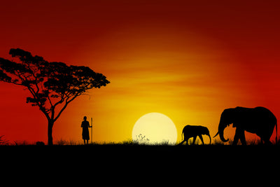 poster-print-african-steppe-elephant