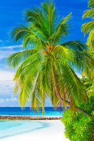 canvas-print-the-palm