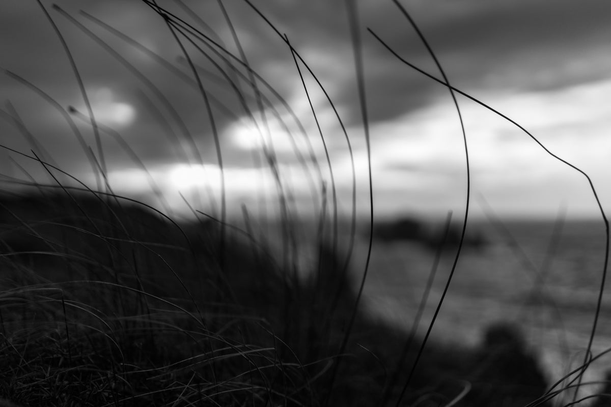 acrylic-print-the-wind-brings-the-night