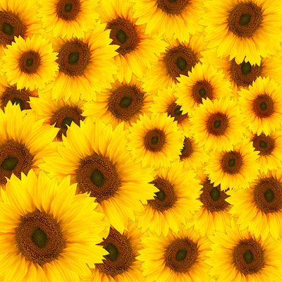 poster-print-a-bouquet-sunflower