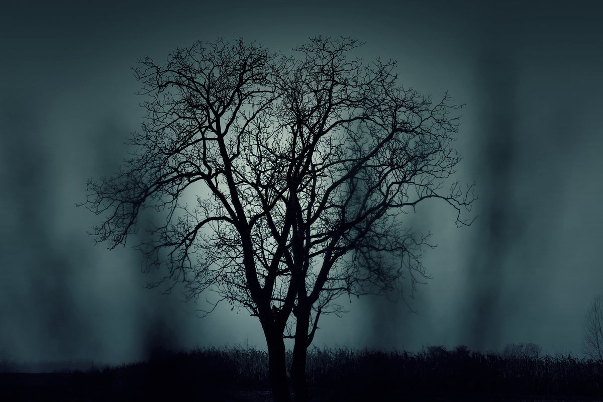 3-piece-aluminium-print-the-tree-in-darkness