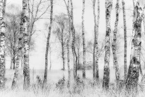 3-piece-acrylic-print-black-and-white