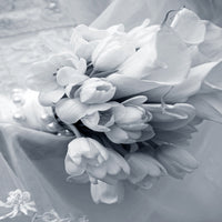 aluminium-print-romantic-tulips-bouquet