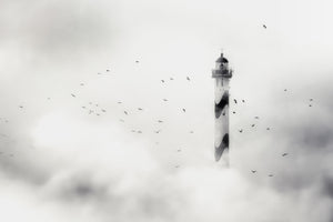 canvas-print-the-fog