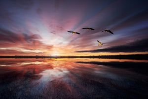 framedposter-print-morning-mood-x