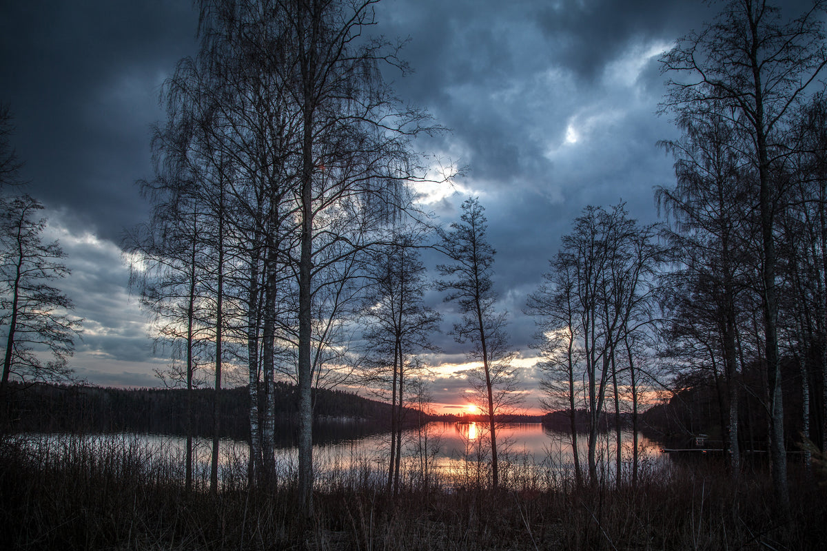 framedposter-print-trees-at-the-lake