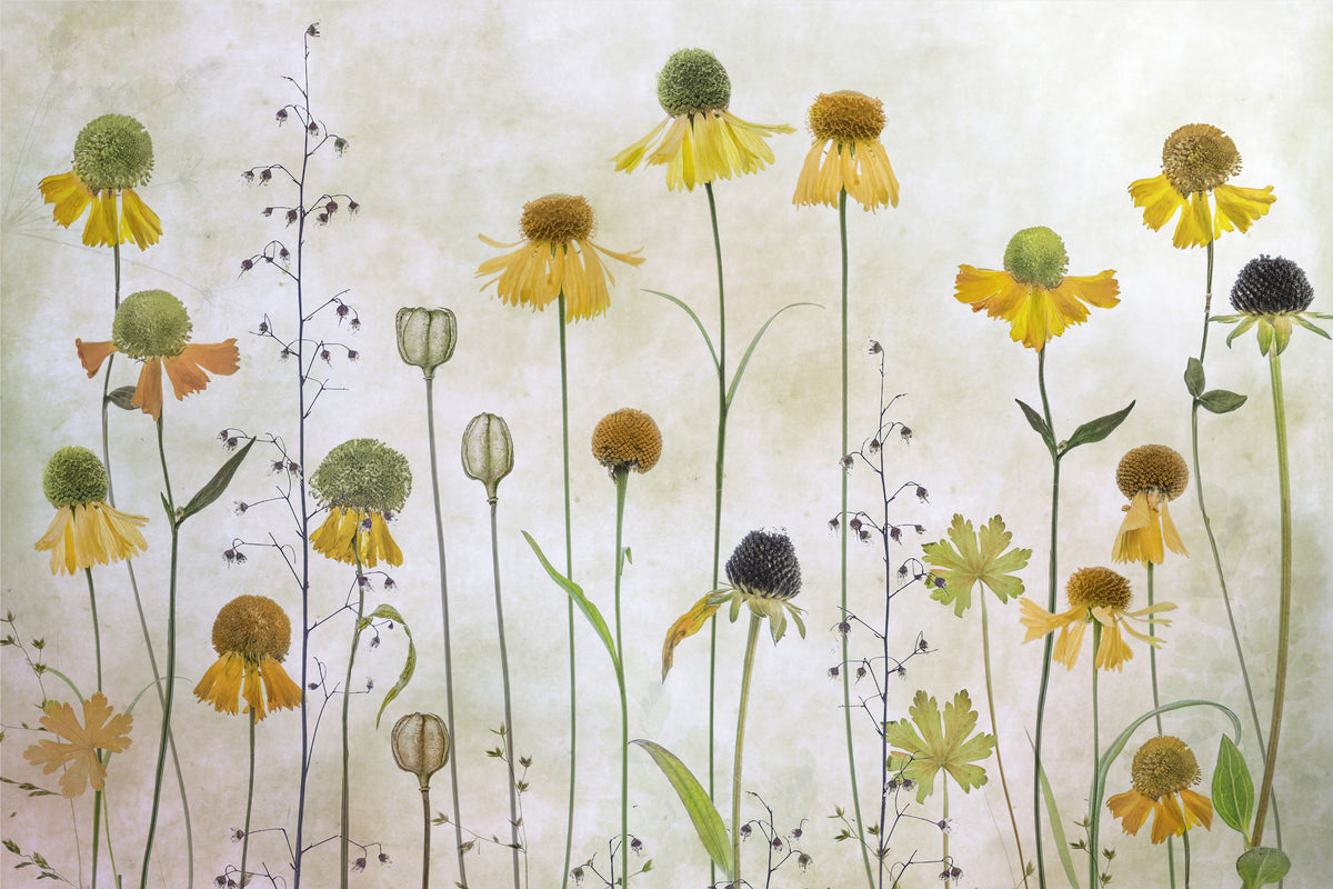 modern-3-piece-acrylic-print-helenium