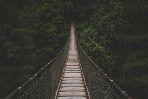 aluminium-print-exciting-bridge