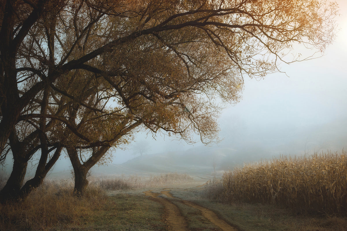 framedposter-print-october-morning-x