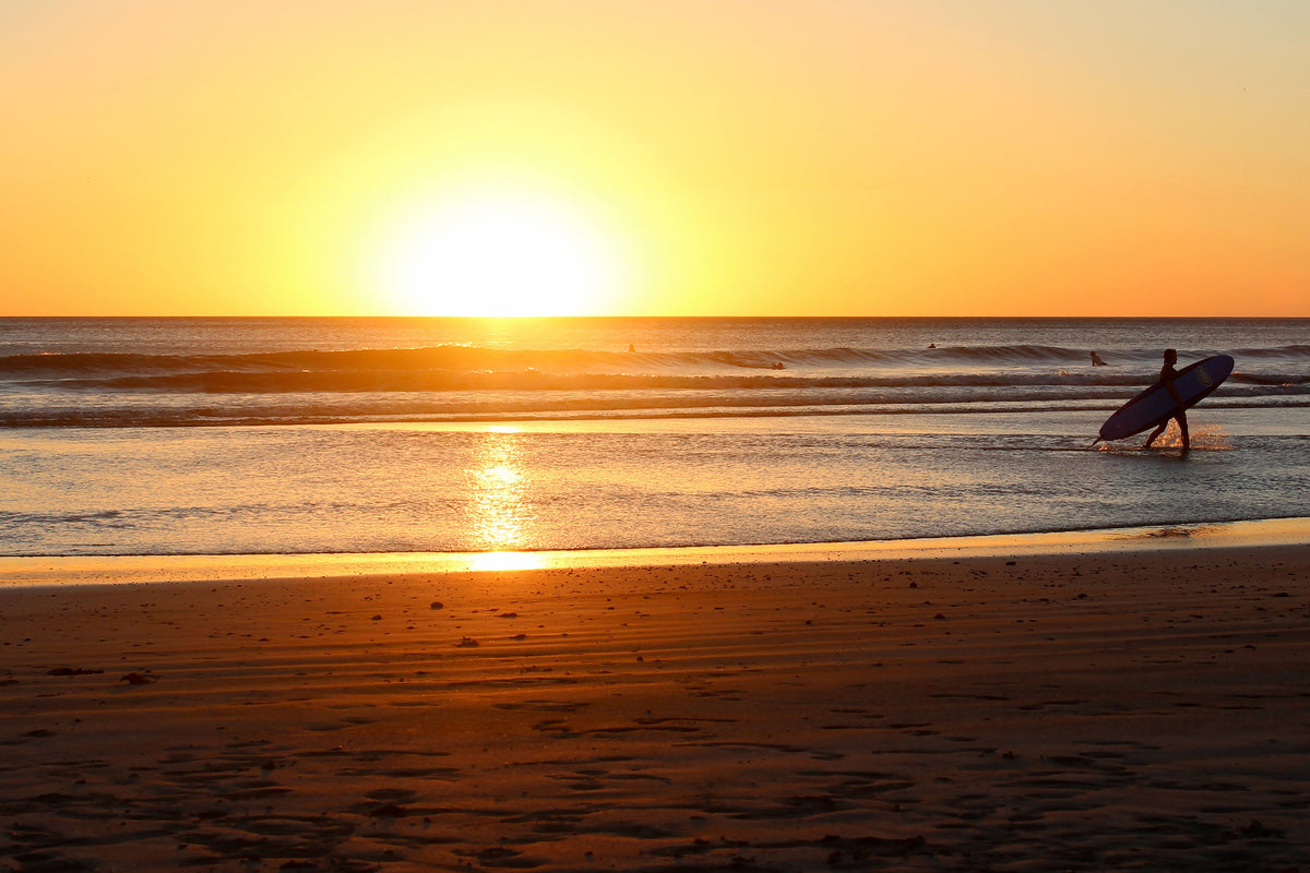 poster-print-the-lonely-surfer