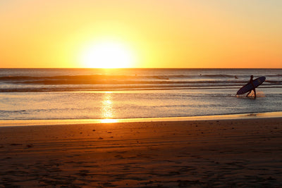 poster-print-the-lonely-surfer
