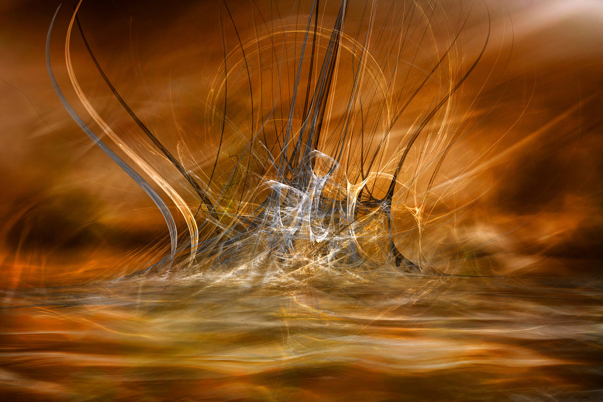framedposter-print-the-rising-x