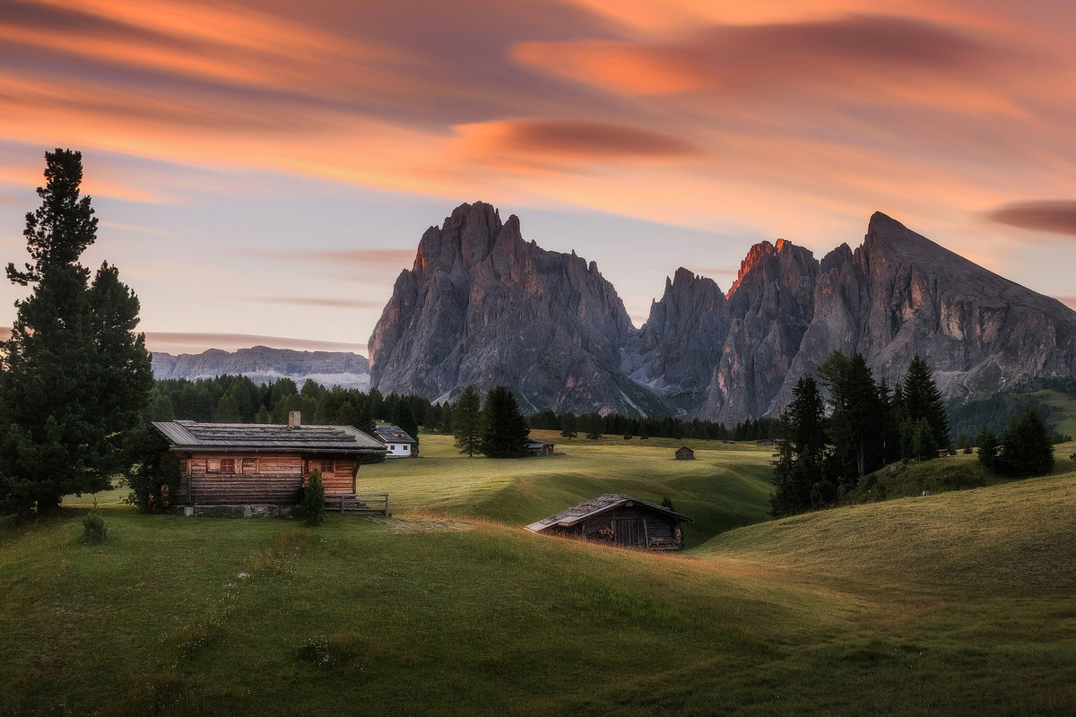 poster-print-summer-morning-x