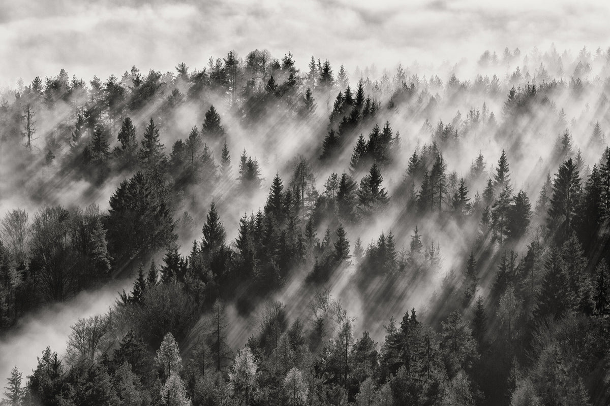 3-piece-canvas-print-sundance-no-i