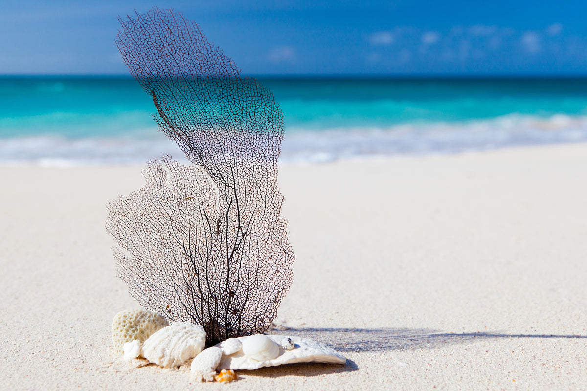 acrylic-print-beach-art