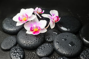 3-piece-canvas-print-feng-shui-orchid-zen