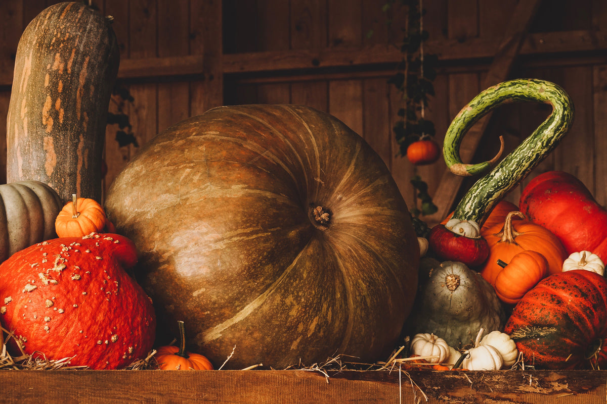 acrylic-print-a-still-life
