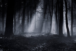 modern-3-piece-canvas-print-capela-forest