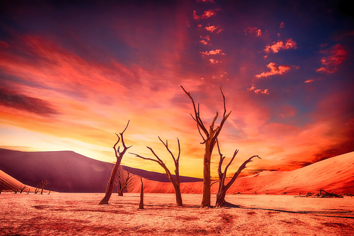 modern-3-piece-aluminium-print-colorful-desert