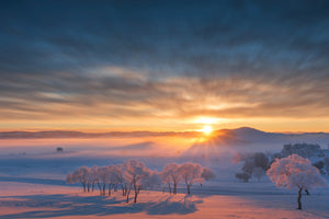 poster-print-good-morning-xhq