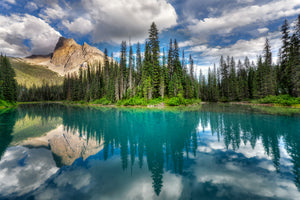 3-piece-canvas-print-emerald