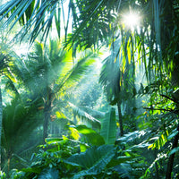 4-piece-canvas-print-in-tropical-forest