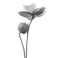 9-piece-canvas-print-a-little-touch-monochrome
