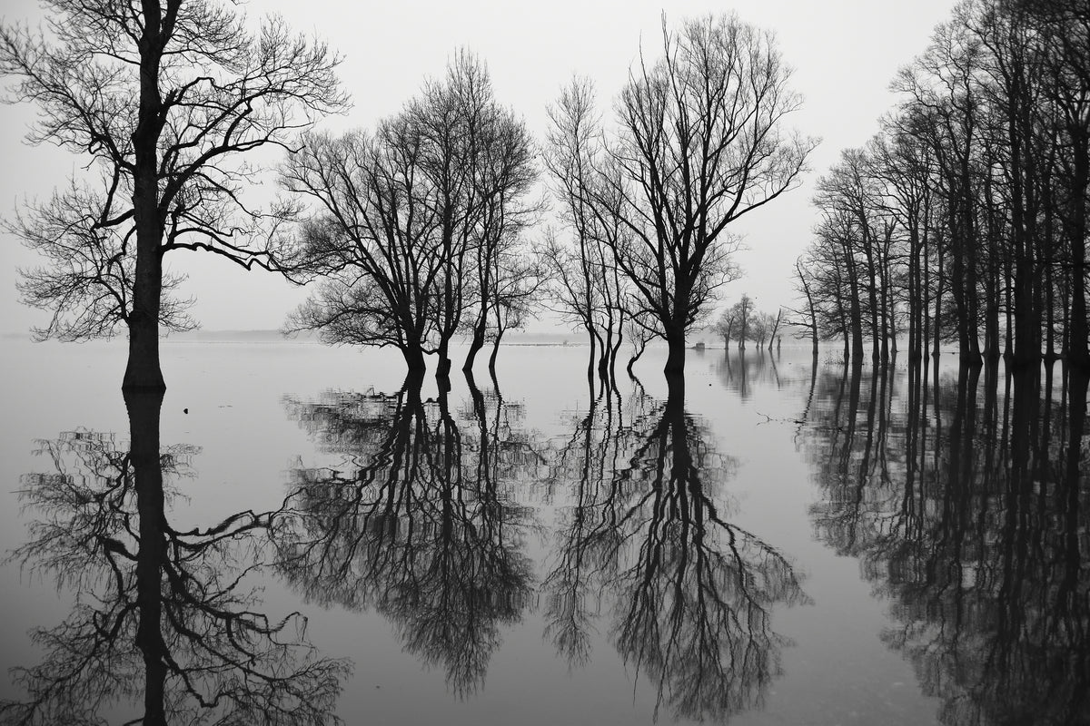 acrylic-print-flood-x