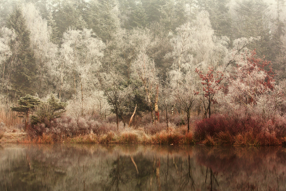 framedposter-print-frozen-x