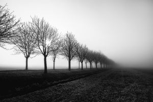 canvas-print-losing-sight-x